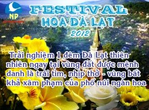 Festival Hoa & Doi Cu