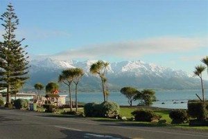 Thi tran Kaikoura