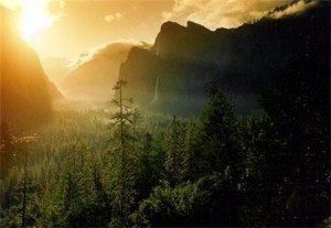 Thung lung Yosemite