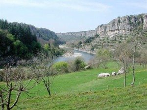 Tinh Ardeche