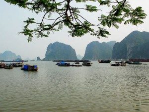 thang canh du lich Ha Long