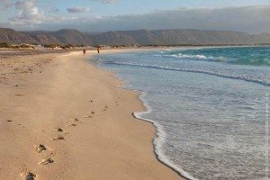 bai bien tren dao socotra