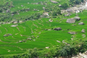 nhung mang lua xanh lam mat mat du khach