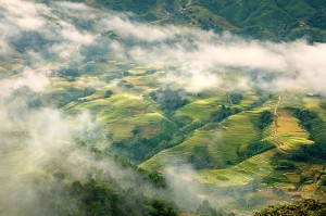 ruong bac thang huyen ao tai lao chai