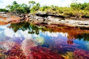 cano cristales