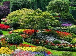 butchart gardens