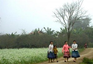 mot ngay binh di nhu moi ngay