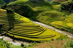 ruong bac thang o mu cang chai