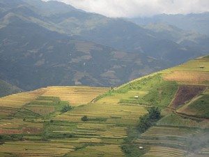 ruong bac thang tai mu cang chai