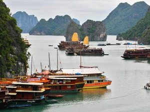 Tau thuyen du lich cap ben tranh bao