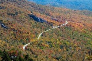 cay cau linn cove viaduct nhin tu xa