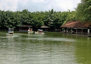 khu du lich sinh thai vuon xoai nam o ap tan cang, xa phuoc tan, tp bien hoa, tinh dong nai