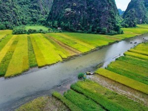 cam giac thu vi khi hoa minh giua thien nhien tam coc