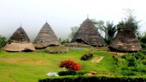 Ngoi nha kieu truyen thong o Ruteng