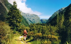 Du lich trekking o Milford