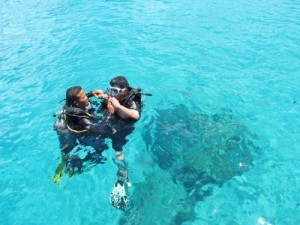 Ngam san ho trong vinh Nha Trang