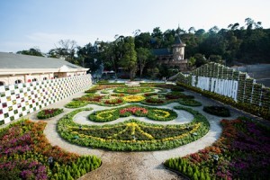 Tao hinh nghe thuat dang khoe sac