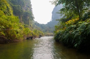 Canh vat hai ben bo