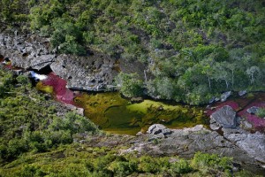 Hinh anh tuyet dep cua Cano Cristales