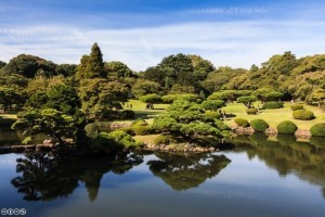 Tham quan vuon quoc gia Shinjuku Gyoen