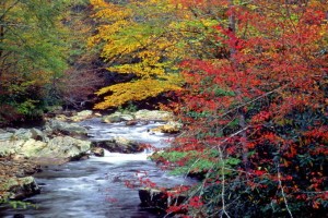 Thien nhien huu tinh o Smoky Mountains