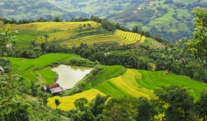 Ao tinh yeu cua nguoi dan toc La Chi