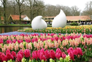 Vuon hoa Keukenhof