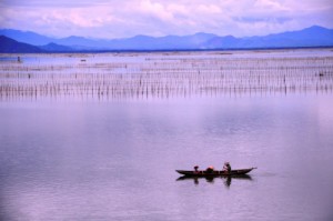 Hoang hon tren pha Tam Giang