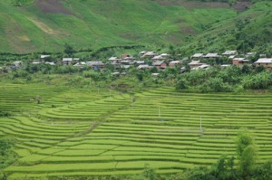 Nha san binh di cung ruong bac thang