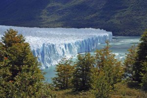 Song bang Moreno Glacier