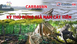 hình ảnh caravan Kỳ thú rừng già Nam Cát Tiên