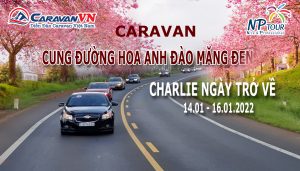 Hình ảnh caravan cung đường hoa anh đào măng đen