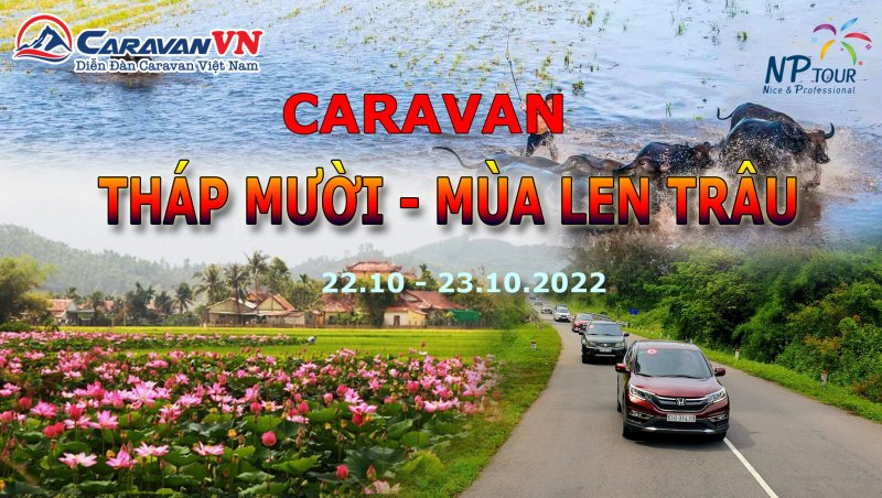 Caravan Tháp Mười Mùa Len Trâu