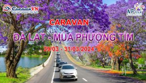 Hinh anh caravan Đà Lạt Hoa Phượng Tím 2024