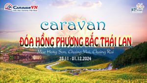 hinh anh caravan Thai Doa hong Phuong Bac Np caravan tour-23110112